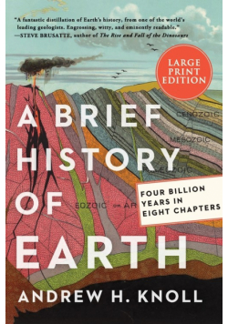 Brief History of Earth LP, A