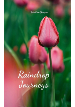 Raindrop Journeys