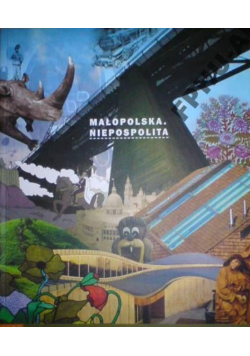 Małopolska. Niepospolita