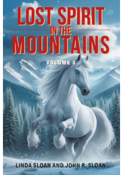 Lost Spirit in the Mountains