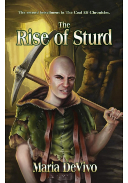 The Rise of Sturd
