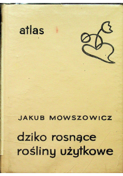 Dziko rosnące rośliny użytkowe