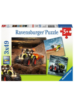 Puzzle 3x49 Axion, Lexion, Xerion