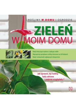 Zieleń w moim domu