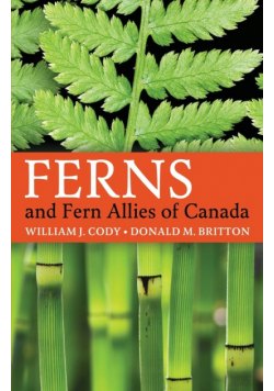 Ferns and Fern Allies of Canada