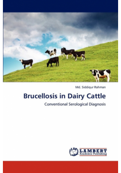 Brucellosis in Dairy Cattle