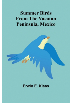 Summer Birds From the Yucatan Peninsula, Mexico