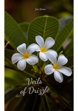 Veils of Drizzle