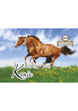 Kalendarz 2022 Konie TW-10-6