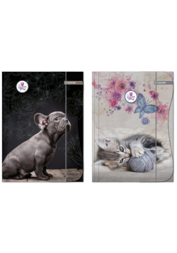 Teczka z gumką A4 The sweet pets 2 wzory