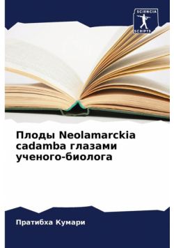 Плоды Neolamarckia cadamba глазами ученого-биолога