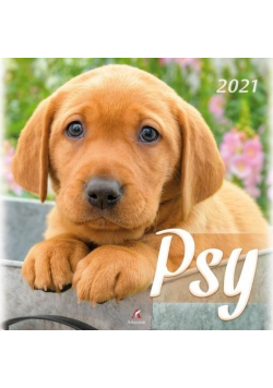 Kalendarz 2021 Ścienny Psy ARTSEZON