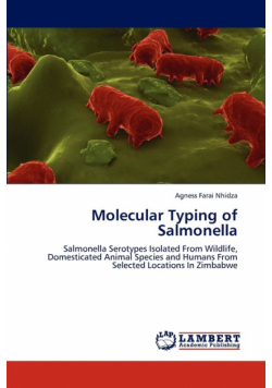 Molecular Typing of Salmonella