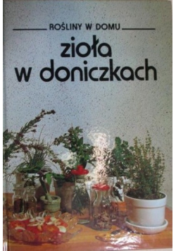 Zioła w doniczkach