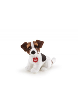 Jack Russel S