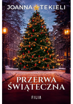 Przerwa świąteczna