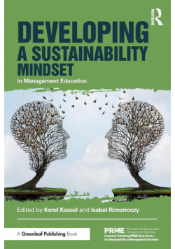 Developing a Sustainability Mindset in Management Education