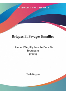 Briques Et Pavages Emailles
