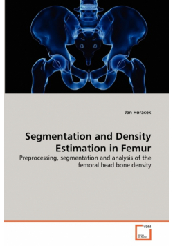 Segmentation and Density Estimation in Femur