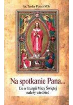 Na spotkanie Pana Co o liturgii Mszy Świętej należy wiedzieć