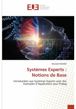 Systèmes Experts