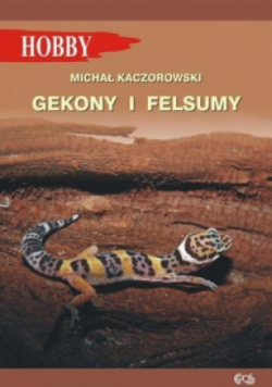 Gekony I Felsumy