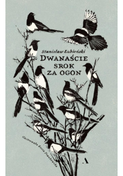Dwanaście srok za ogon