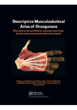 Photographic and Descriptive Musculoskeletal Atlas of Orangutans