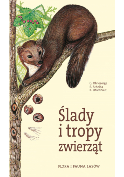 Ślady i tropy zwierząt