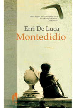 Luca Erri - Montedidio