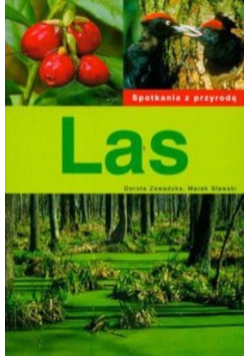 Las spotkania z przyrodą