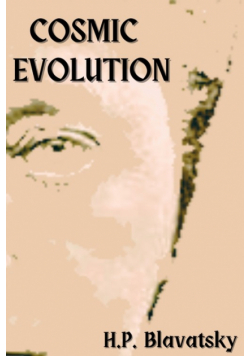 Cosmic Evolution