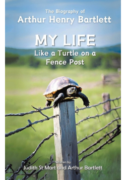 My Life like a Turtle on a Fence Post