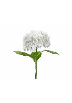Hortensja Premium biała 69cm