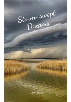 Storm-swept Dreams