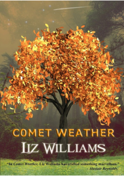 Comet Weather