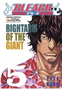 Bleach Rightarm Of Giant Tom 5