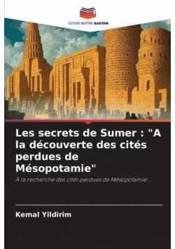 Les secrets de Sumer