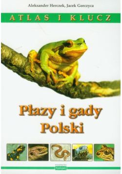 Płazy i gady Polski Atlas i klucz