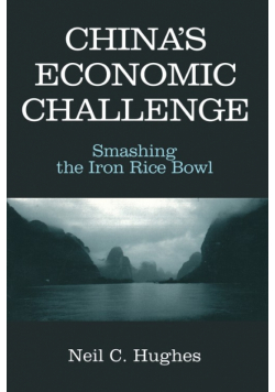 China's Economic Challenge