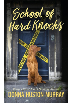 School of Hard Knocks