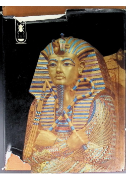 Life and death of a pharaoh Tutankhamen