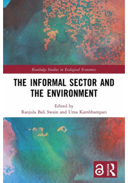 The Informal Sector and the Environment