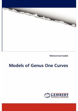 Models of Genus One Curves