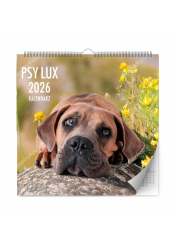 Kalendarz 2026 ścienny lux psy