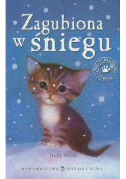 Zagubiona w śniegu