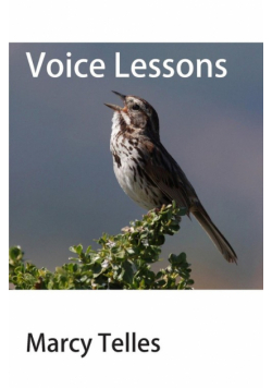 Voice Lessons