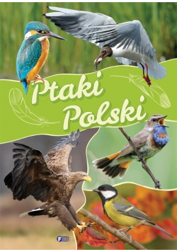 Ptaki Polski TW FENIX