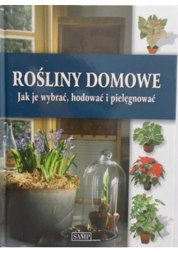 Rośliny domowe Jak je wybrać hodować i pielęgnować