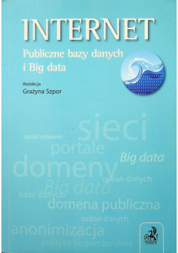 Internet Publiczne bazy danych i big data